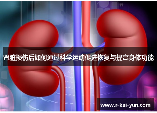 肾脏损伤后如何通过科学运动促进恢复与提高身体功能
