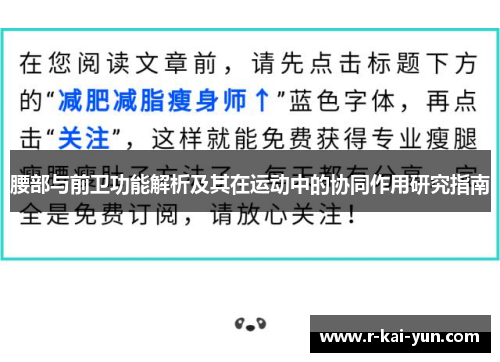腰部与前卫功能解析及其在运动中的协同作用研究指南